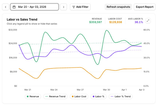 Magnoli business intelligence dashboard
