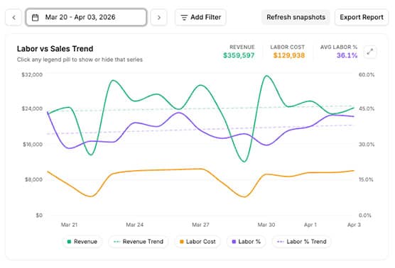 Magnoli business intelligence dashboard